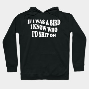 if i was a bird i know who i’d shit on Hoodie